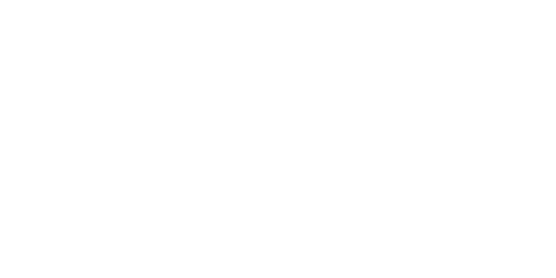 Logo of ESN International